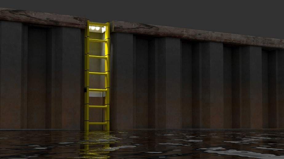 Rescue ladder
